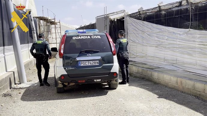 Agentes de la Guardia Civil en una zona de invernaderos.