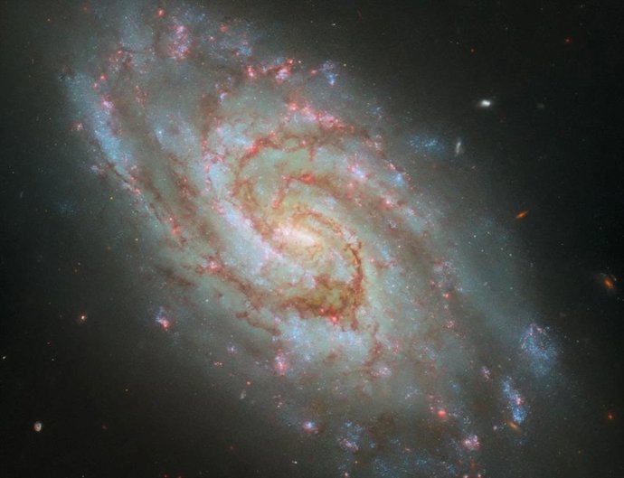 Latam.-Ciencia.-Hubble captura una guardería estelar en una espiral majestuosa