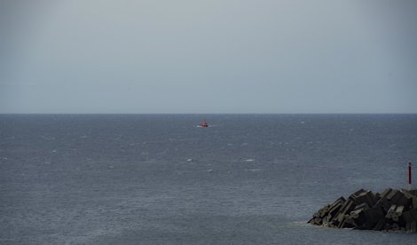 Migración