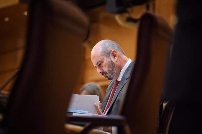 Archivo - El presidente del Senado, Pedro Rollán, durante una sesión plenaria, en el Senado, a 31 de julio de 2024, en Madrid (España). El Pleno del Senado ha aprobado hoy de manera definitiva la reforma judicial pactada por PP y PSOE, en el marco de su a