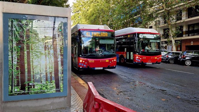 Archivo - Imágenes de autobuses de Tussam