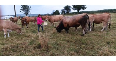 Asturias Rural