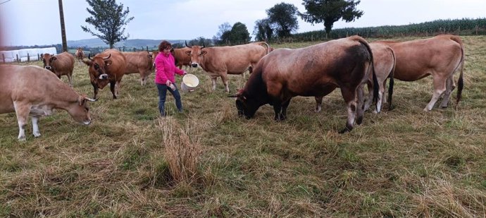 Una ganadera de Tineo representará a las mujeres rurales españolas en un acto en Madrid