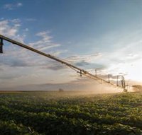 Regantes responden a Greenpeace: las restricciones de abastecimiento no son "en ningún caso" por culpa del regadío