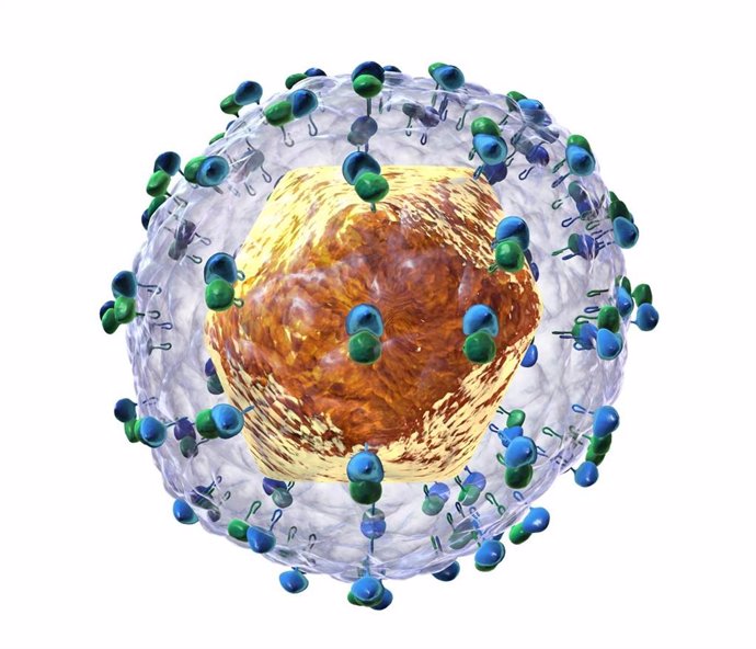 Archivo - Imagen de archivo de una recreación del virus de la hepatitis C.