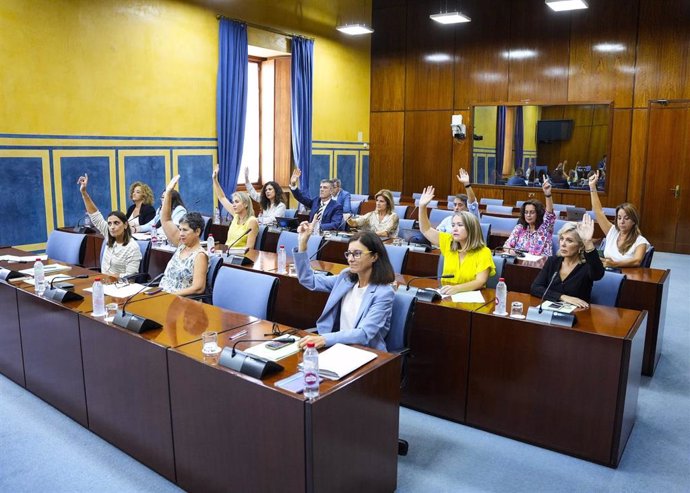 Imagen de este martes de la Comisión de Salud del Parlamento aprobando por unanimidad el dictamen sobre la Proposición de Ley de gratuidad de los productos ópticos y de salud visual.