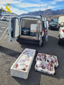 Coche con el pescado incautado por la Guardia Civil en Fuerteventura