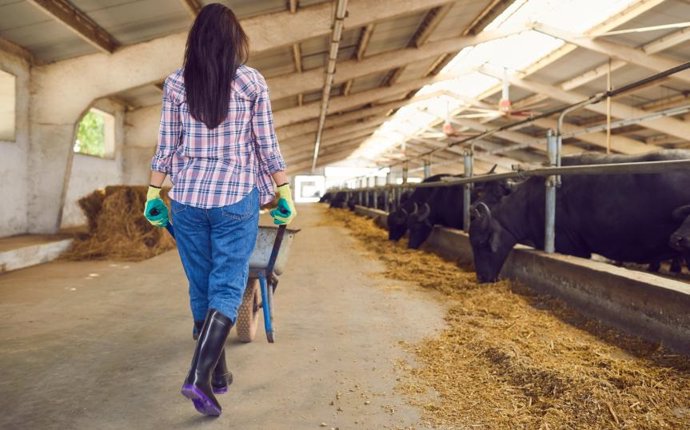 Los autores del estudio consideran que la adaptación al cambio climático, la mitigación de la despoblación y la defensa de las rentas agrícolas "deben ir acompañadas de políticas agrícolas y de un desarrollo rural más integrado"