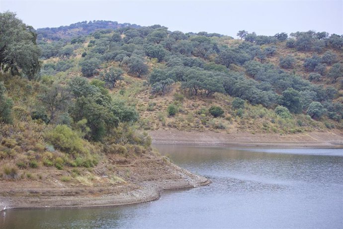 Archivo - Detalle del embalse de la Minillas, en el Ronquillo, tras las lluvias caídas en estos días, a 22 de mayo de 2023 en Sevilla (Andalucía, España).