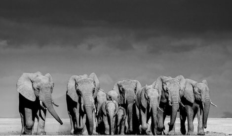 Comunicados Sociedad