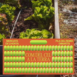 'Com Del Cel A la Terra', Així Tornen Els Quatre Mercats De L'horta A Valncia