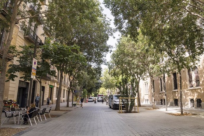 Archivo - Un tramo del eje verde de la calle de Consell de Cent.