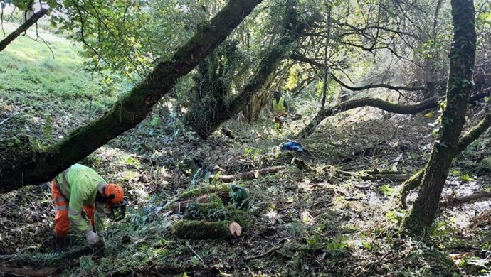 La Confederación Hidrográfica del Cantábrico ejecuta labores de conservación