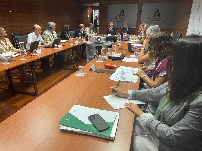 El consejero de Universidad, Investigación e Innovación, José Carlos Gómez Villamandos, en la segunda reunión del Comité de Codecisión de la Estrategia.