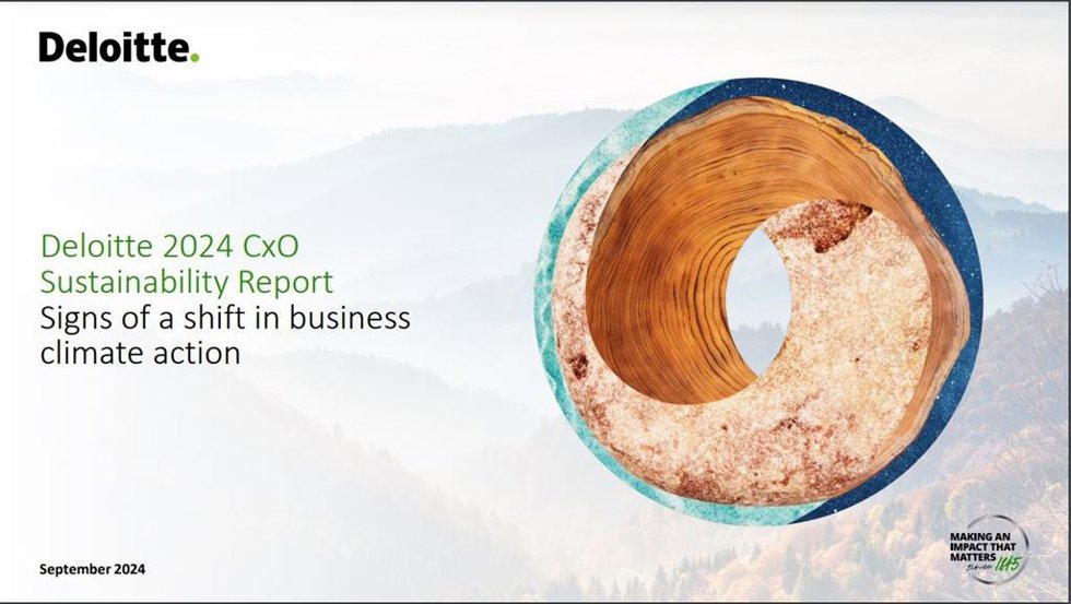 Portada del informe de Deloitte.
