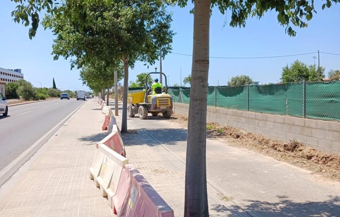 Labores de instalación y mejora de la red eléctrica llevadas a cabo por Endesa en Palma.