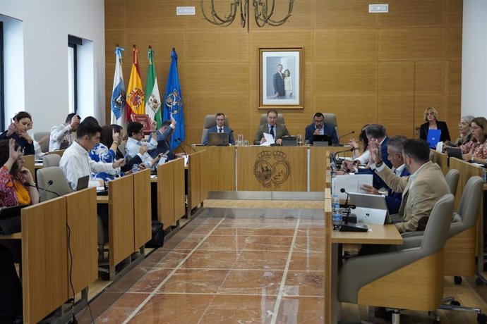 Pleno de la Diputación de Huelva.