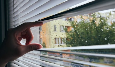 Comunicados Sociedad