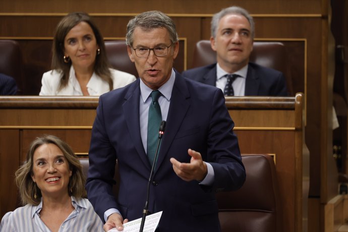 El presidente del PP, Alberto Núñez Feijóo, interviene durante una sesión de control al Gobierno, en el Congreso de los Diputados, a 18 de septiembre de 2024, en Madrid (España).