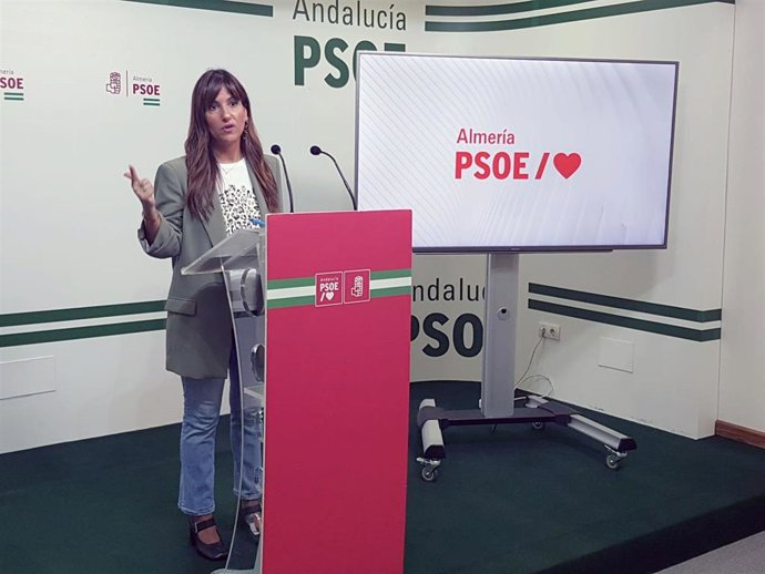 Inés Plaza (PSOE) en rueda de prensa.