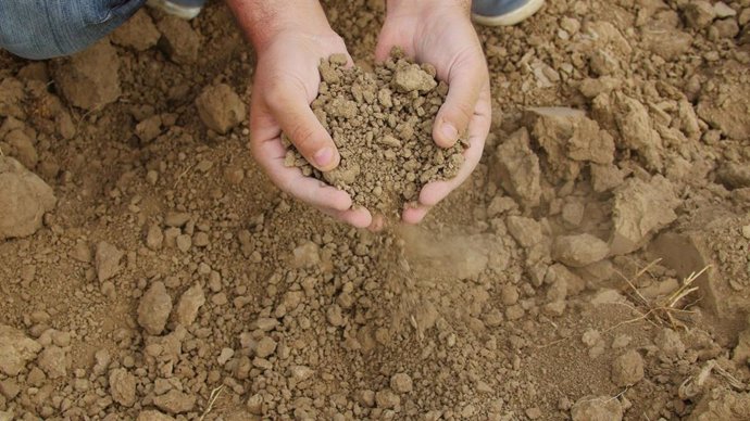 Tierras afectadas por la sequía.