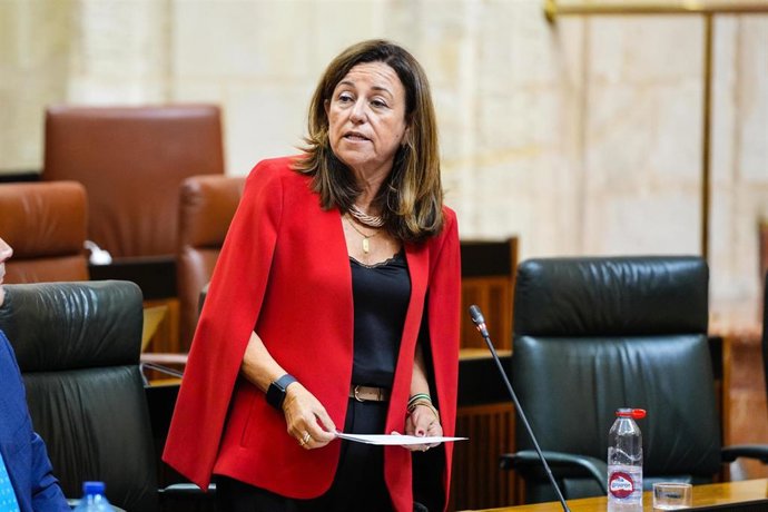 La consejera de Desarrollo Educativo y Formación Profesional, Carmen Castillo, en el Pleno del Parlamento andaluz.