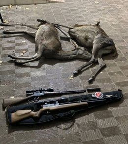 Los ciervos abatidos y las armas intervenidas.