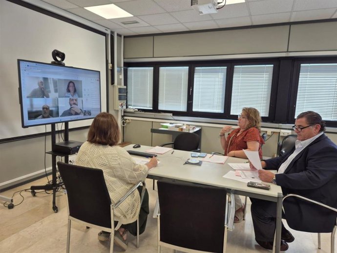 La Mesa Palma Accesible reúne a expertos y entidades sociales para abordar la accesibilidad de la ciudad.