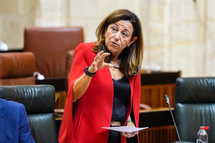 La consejera de Desarrollo Educativo y Formación Profesional de la Junta de Andalucía, en el Pleno del Parlamento andaluz.