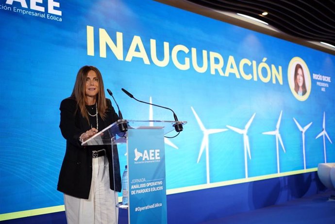 La presidenta de la Asociación Empresarial Eólica (AEE), Rocío Sicre