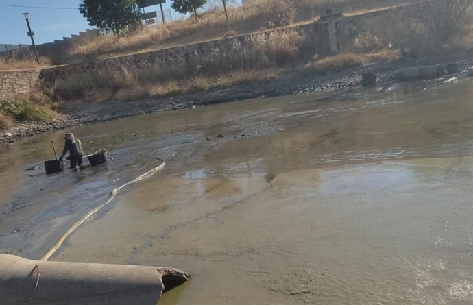 Limpieza de la Charca Musia en Cáceres