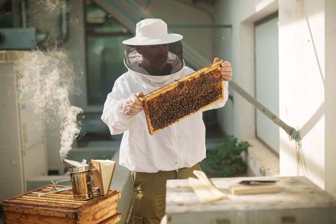 València instala sensores que monitorizan en tiempo real a las colmenas de abejas de Las Naves en el proyecto AbellaTech