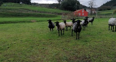 Asturias Rural