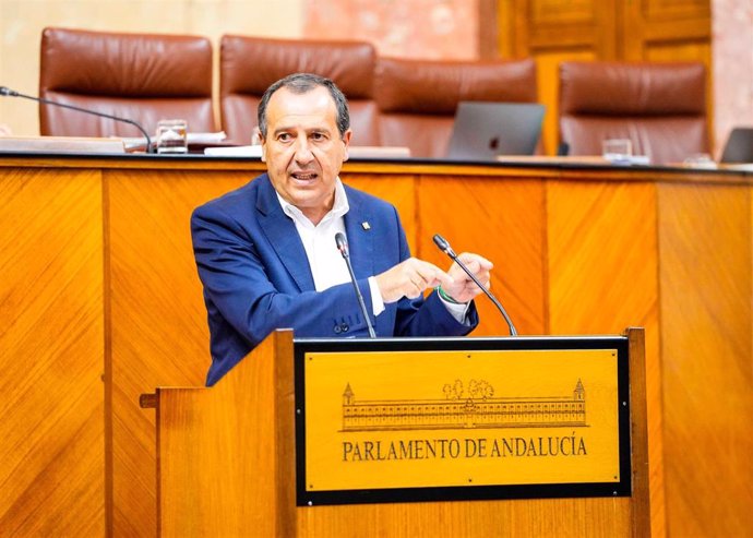 El diputado del PSOE-A José Luis Ruiz Espejo interviene en el Pleno del Parlamento andaluz.