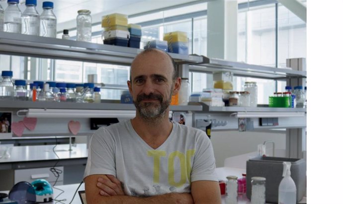 La American Society of Plant Biologists (ASPB) ha anunciado que el investigador del Instituto de Hortofruticultura Subtropical y Mediterránea (IHSM) La Mayora Pablo Manavella es el nuevo editor en jefe de la revista The Plant Cell