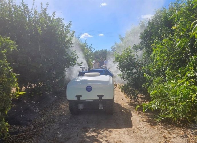 Imagen de recurso de un vehículo en una explotación de cítricos.