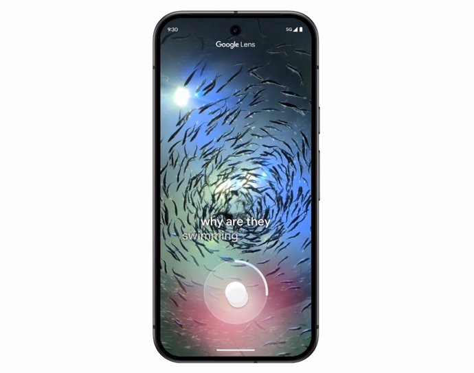 Portaltic.-Google Lens ahora comprende los vídeos y admite preguntas en voz alta