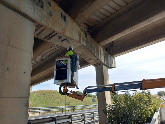 Transportes adjudica por 11,7 millones un contrato para la conservación de carreteras en la provincia de Sevilla.