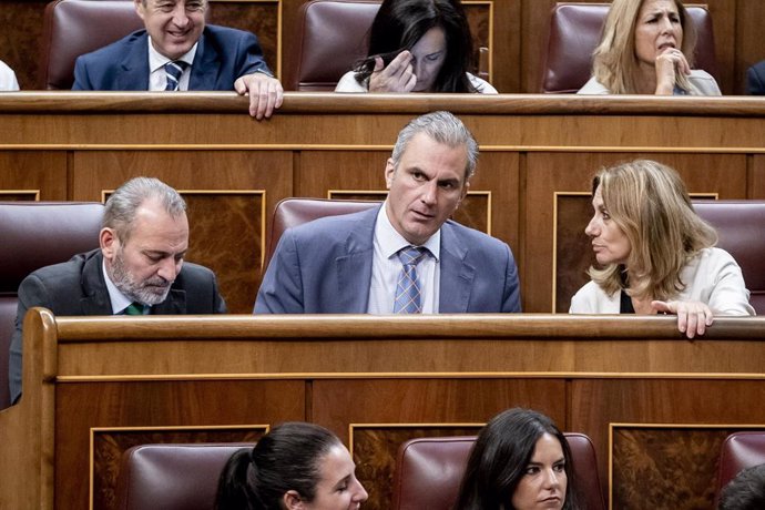 El portavoz de VOX en el Ayuntamiento, Javier Ortega Smith (c), durante una sesión plenaria en el Congreso de los Diputados