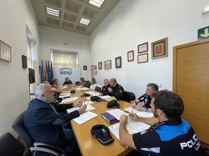 Comisión mixta de violencia de género