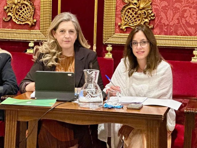 La portavoz de Vox en Granada, Beatriz Sánchez Agustino.