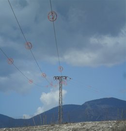 Sistemas salvapájaros para señalización de conductores y corrección de apoyo en redes eléctricas.