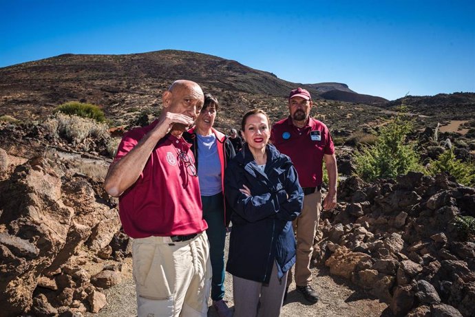 El Cabildo retirará los pinos quemados para acelerar la recuperación del Parque Nacional del Teide