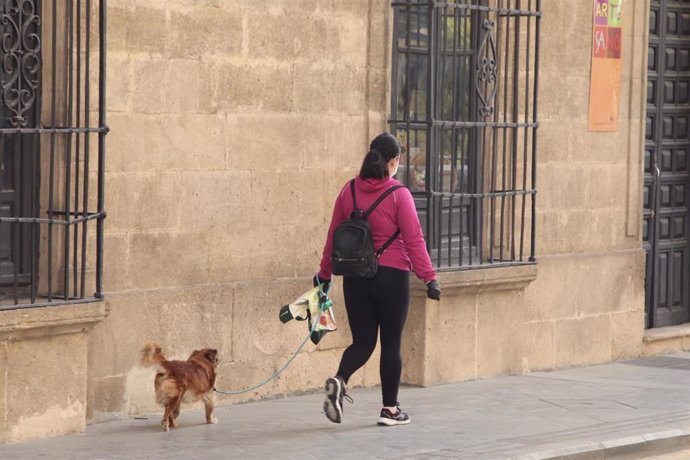 Archivo - El número de mascotas caninas en la provincia asciende a 173.337