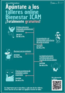 'Plan de desconexión digital del ICAM