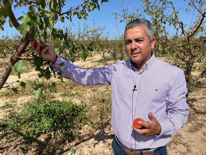 El secretario ejecutivo de Agricultura del Partido Popular de la Región de Murcia, Jesús Cano