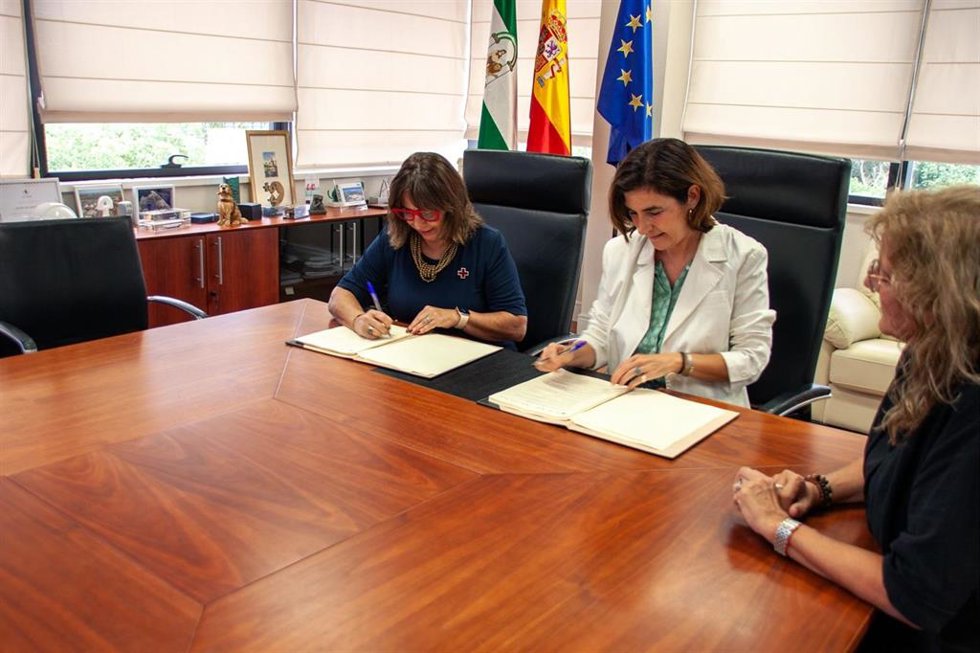 La Junta y Cruz Roja ofrecen a 189 mujeres víctimas de violencia de género un programa para la integración laboral.