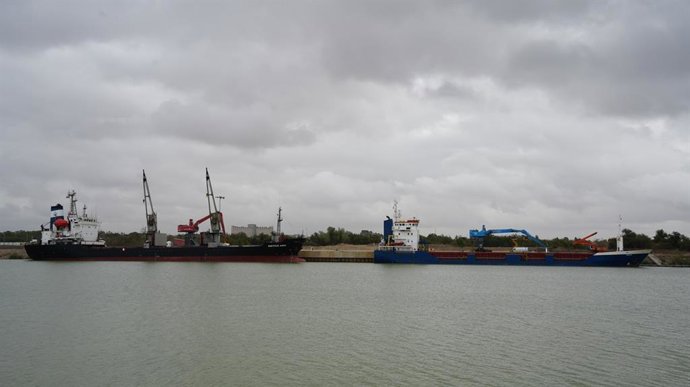 Vista de la nueva terminal en la Dársena del Cuarto, con un buque granelero al fondo.