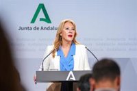 Junta acusa a PSOE-A de "blanquear" y "bendecir los delirios" de Sánchez como lo ocurrido con la Ley Mordaza