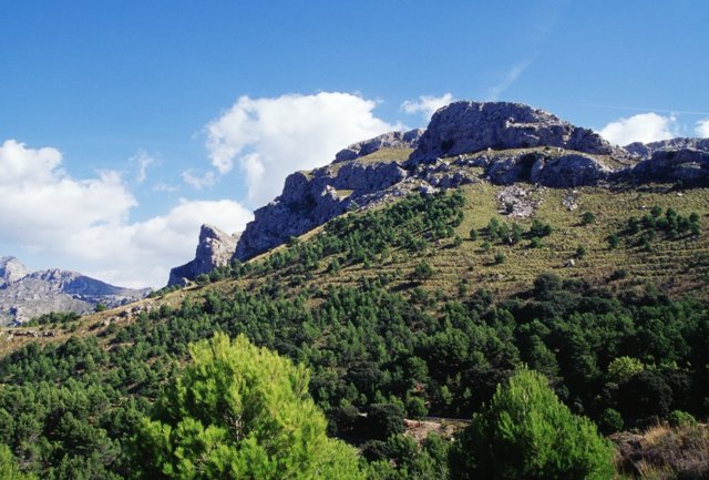 Turismo Ornitológico en Baleares